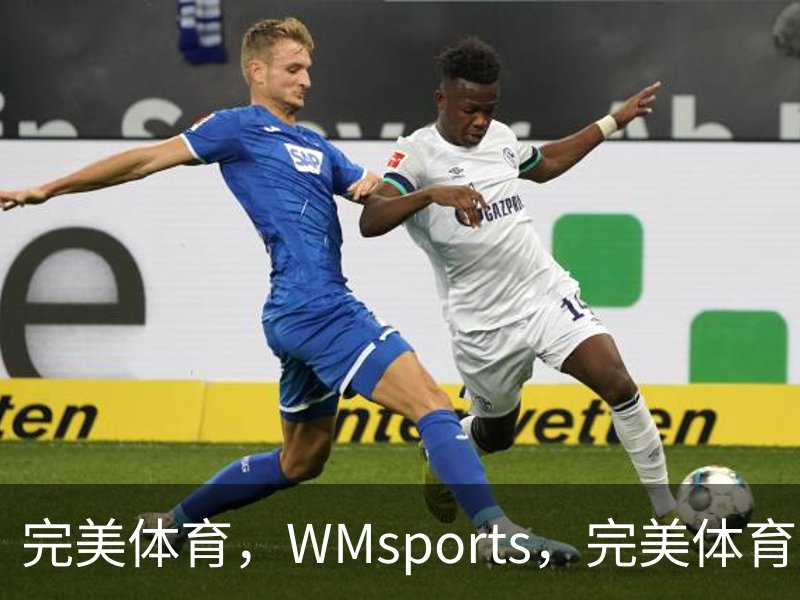 关于完美体育，WMsports，完美体育官方，完美体育平台，完美体育下载
